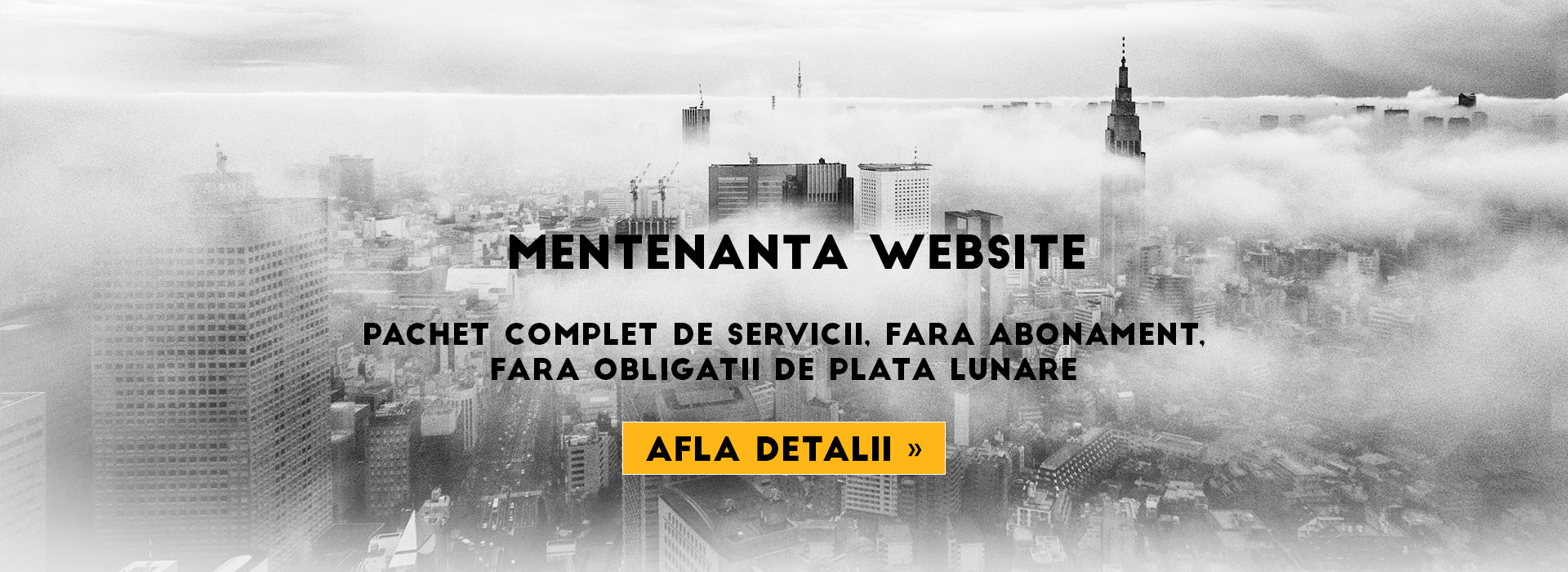 Suport web pentru intretinerea site-ului.