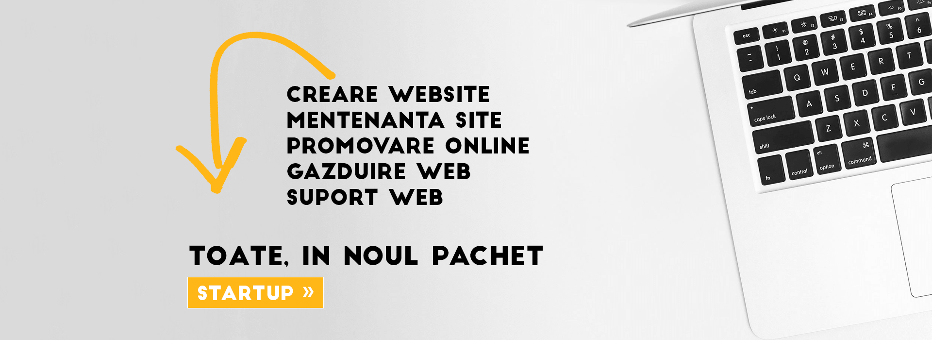 Sistemul Startup cu toate serviciile pentru creare site, intretinere si promovare incluse.