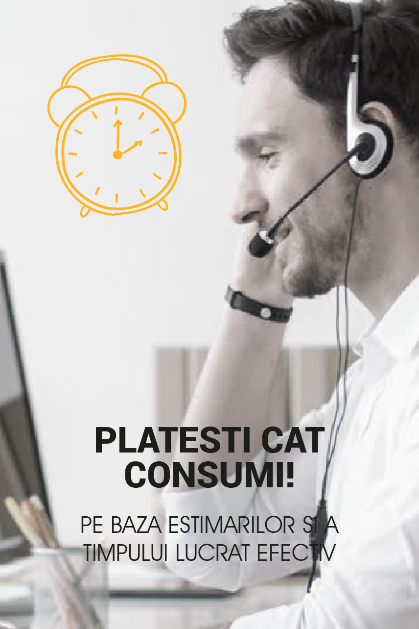preturi intretinere site - plata in functie de consum
